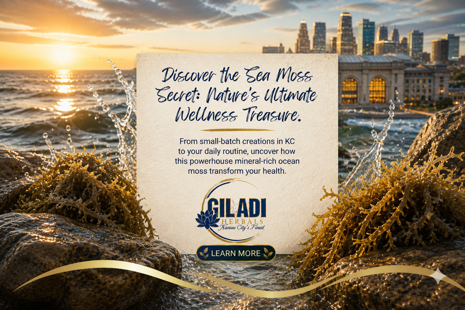 Nature's Wellness Treasure: Discovering the Power of Sea Moss